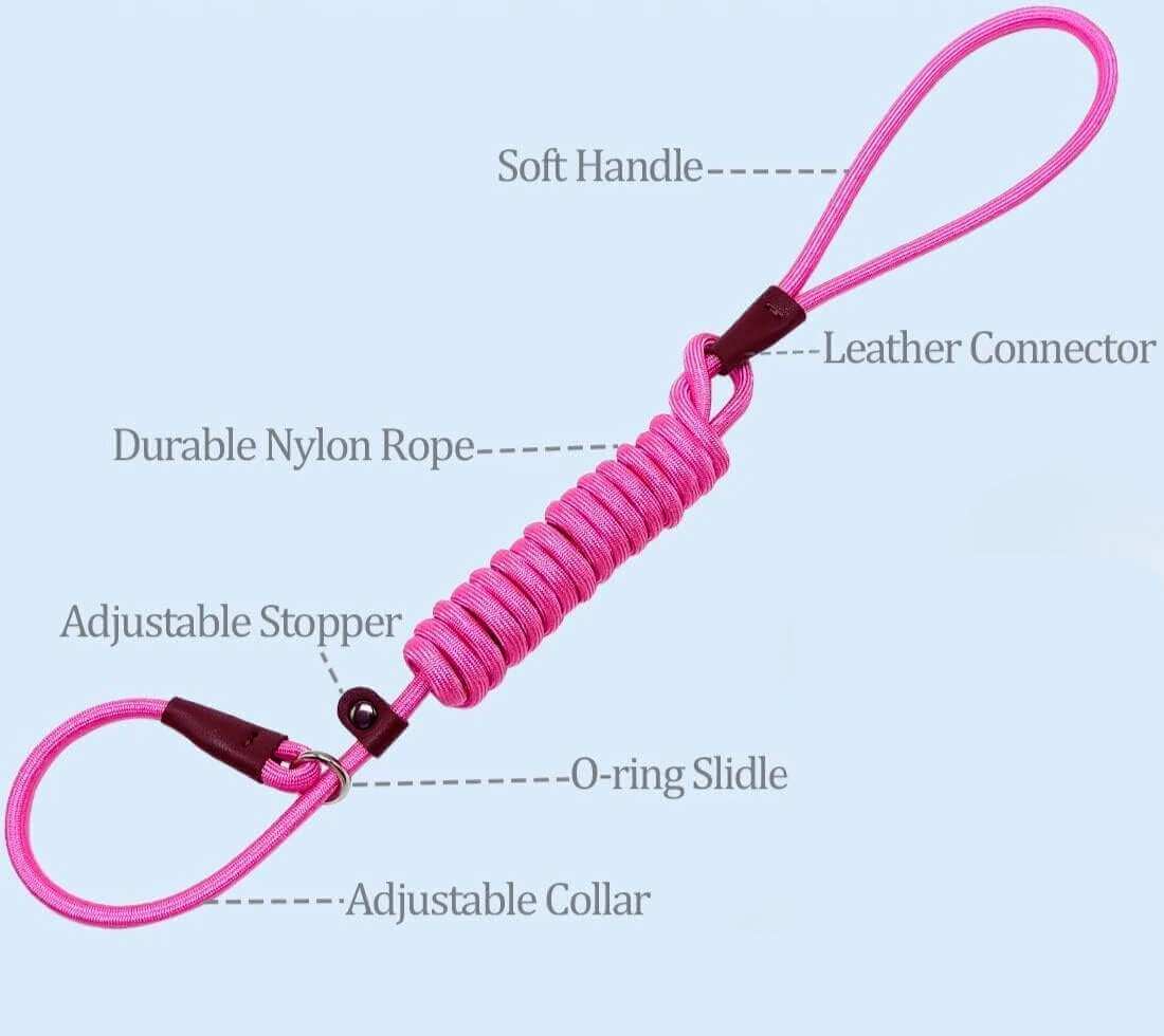 transitional leash review