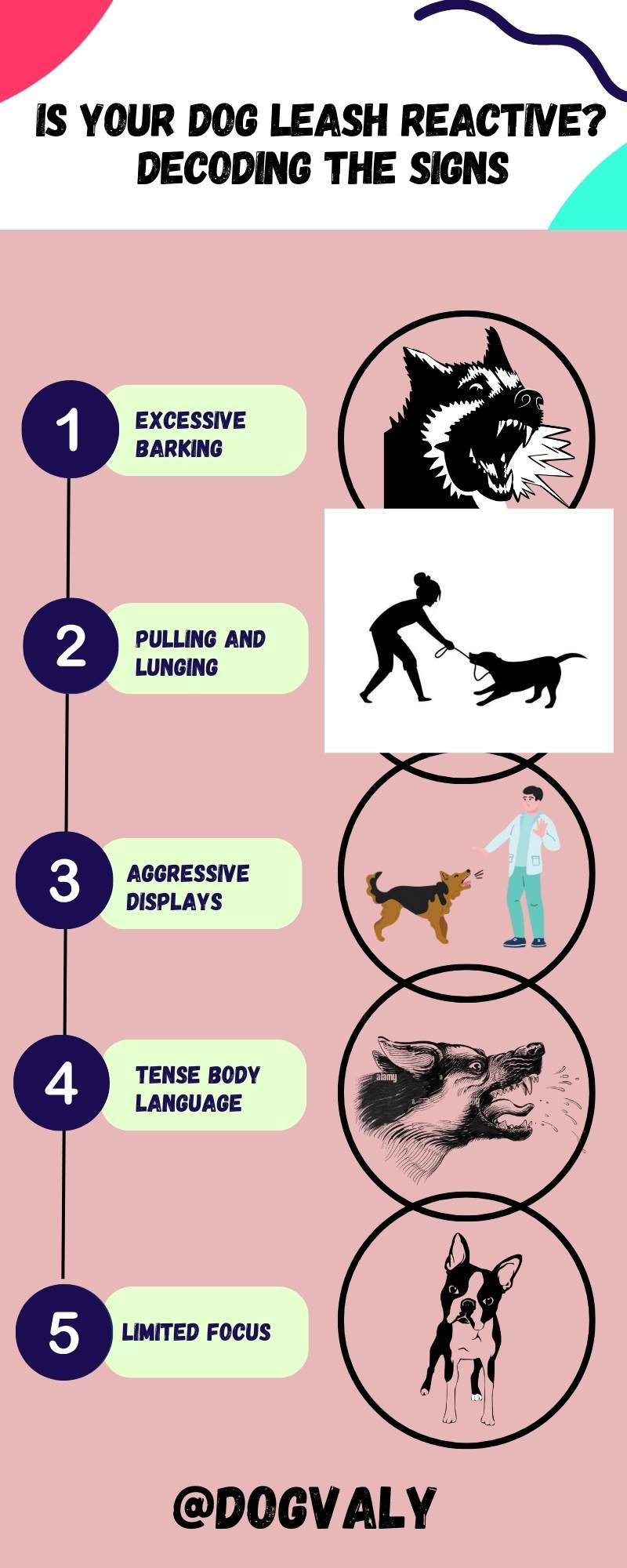 dog Leash Reactive Signs