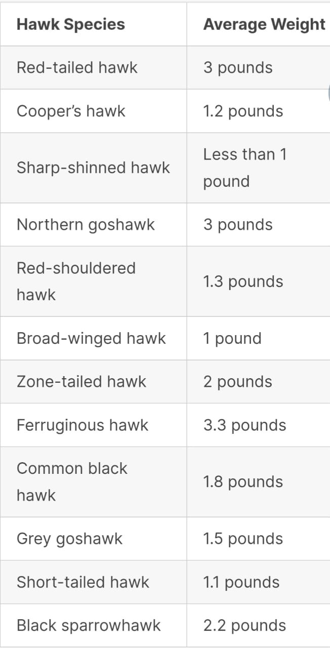 Can Hawks Lift Dogs of Different Weights